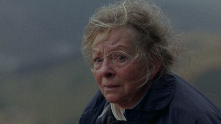 A Bear Remembers_main still